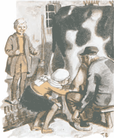 illustratie