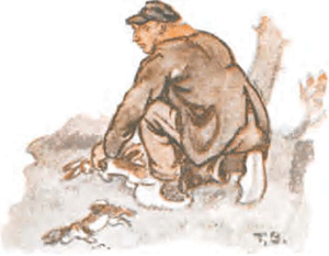 illustratie