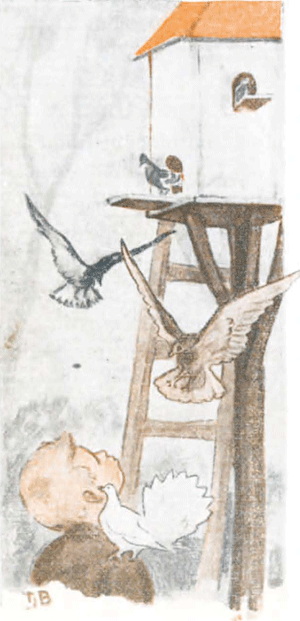 illustratie