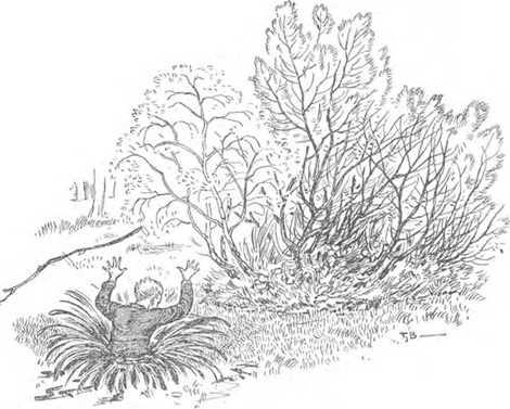 illustratie