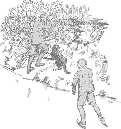 illustratie