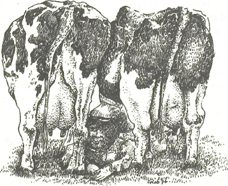 illustratie