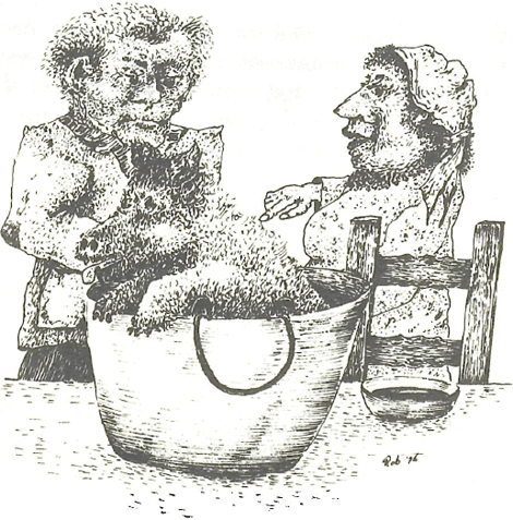 illustratie
