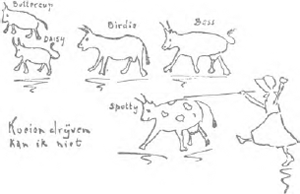illustratie