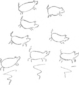 illustratie