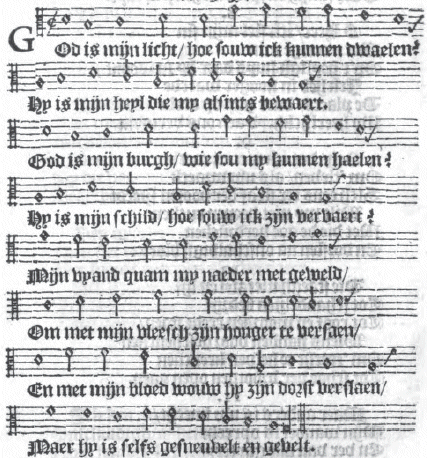 illustratie
