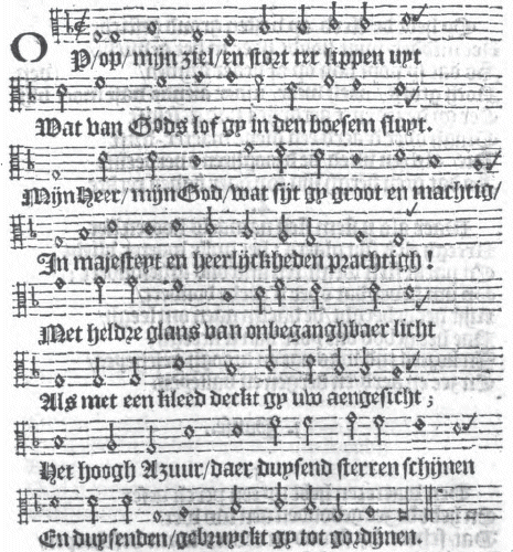 illustratie