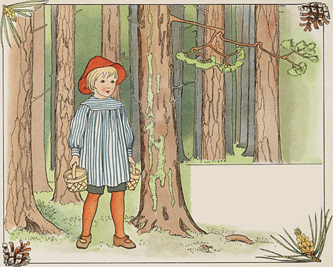 illustratie