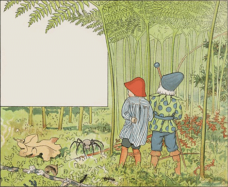 illustratie
