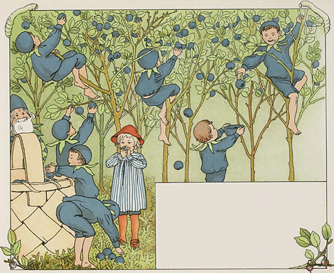 illustratie