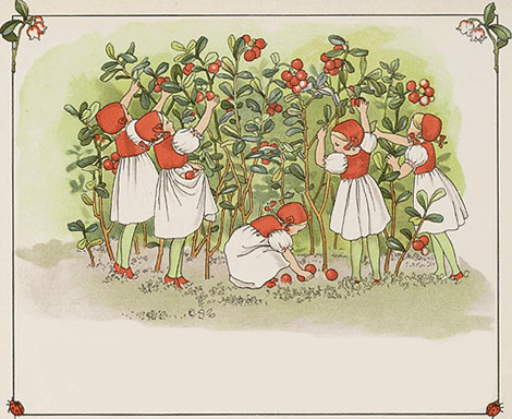 illustratie