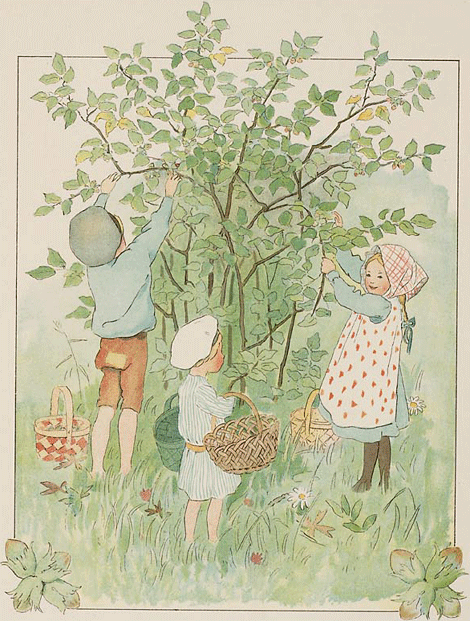illustratie