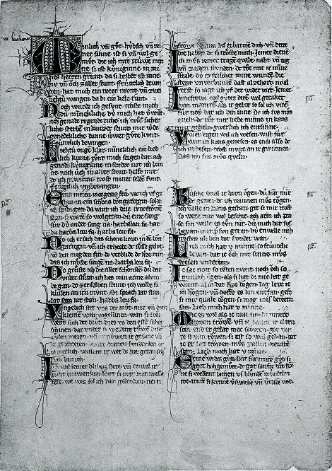 illustratie