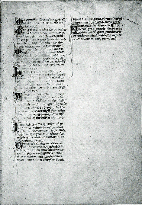illustratie