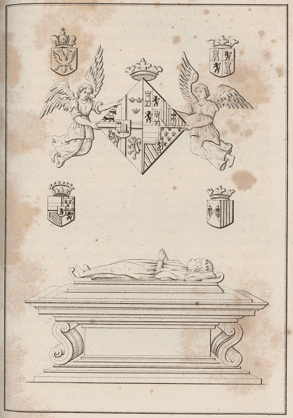 illustratie