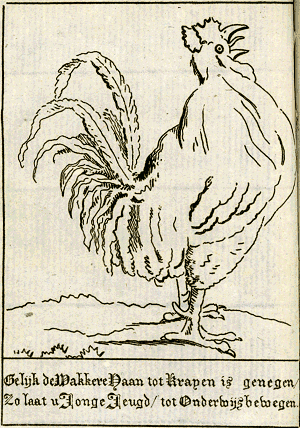 illustratie