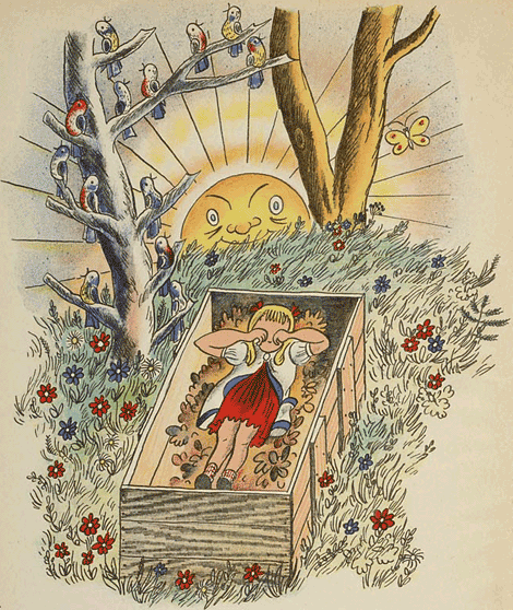 illustratie