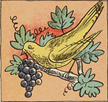 illustratie