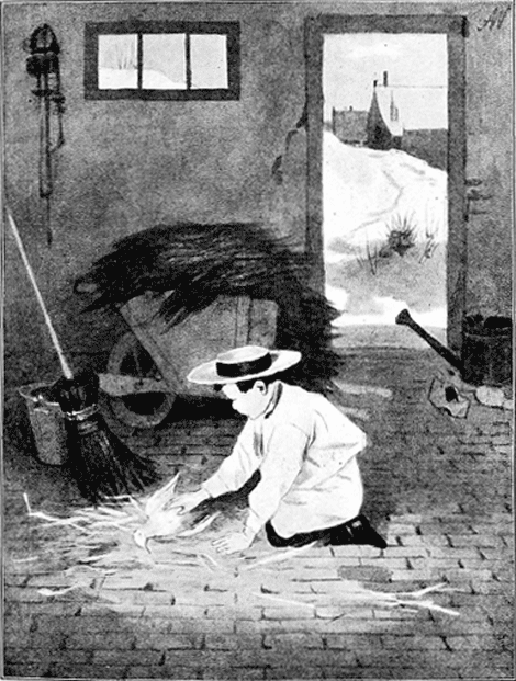 illustratie