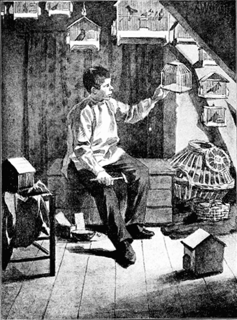 illustratie