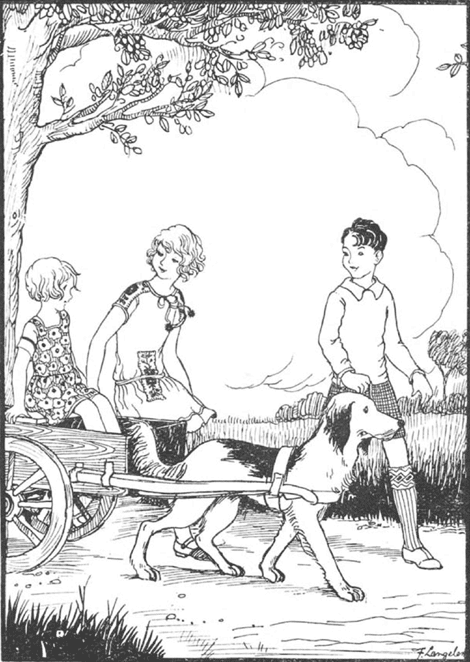 illustratie